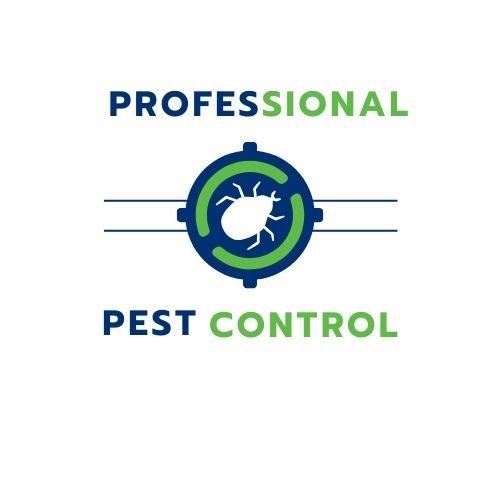 Professional pest control package consultation